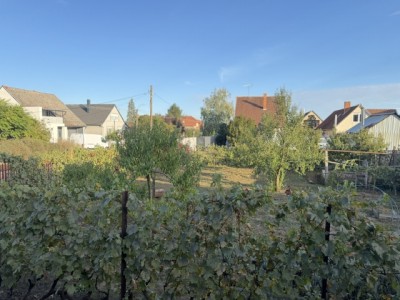 img-0496.jpeg