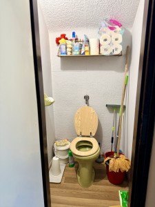 img-0496.jpeg
