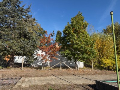 img-0637-002.jpeg